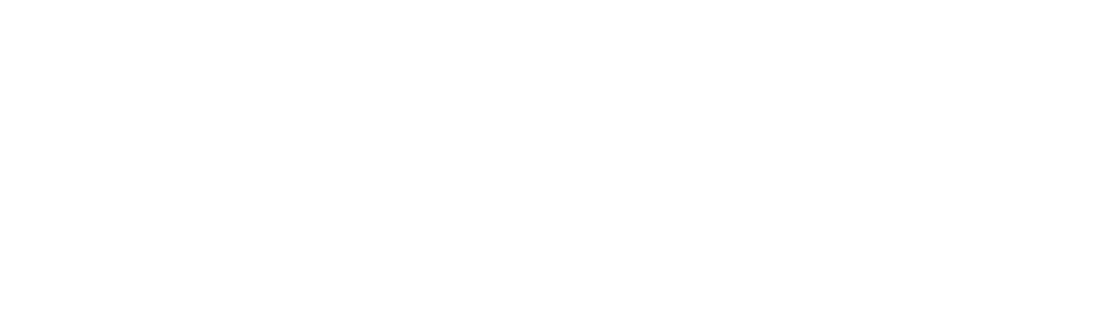 south coast logo